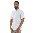 Veste de Cuisine Homme Manches Courtes Basil 2 - LAFONT CUISINE - 19