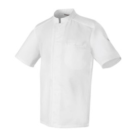 Veste de Cuisine Homme Manches Courtes ABAX Blanc - ROBUR