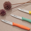 Set 3 Couteaux d'Office Colorés