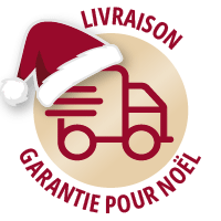 Livraison garantie pour nöel